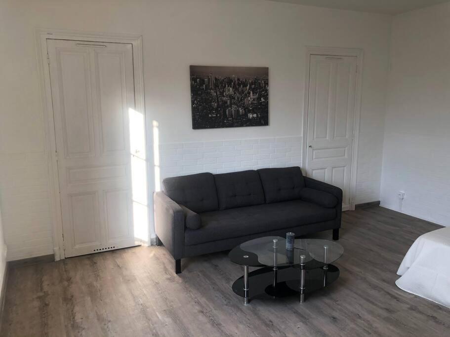 Studio « Le Parc Des Moulins » Troyes Luaran gambar